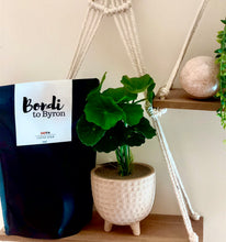 Bathroom Bliss Pack